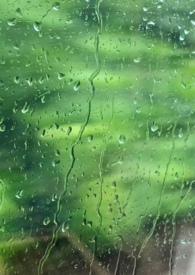 雨季二小说